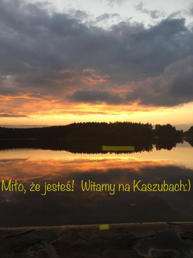 Вилла Kamien Na Kaszubach Экстерьер фото